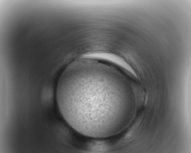 X0000088730260200706071645