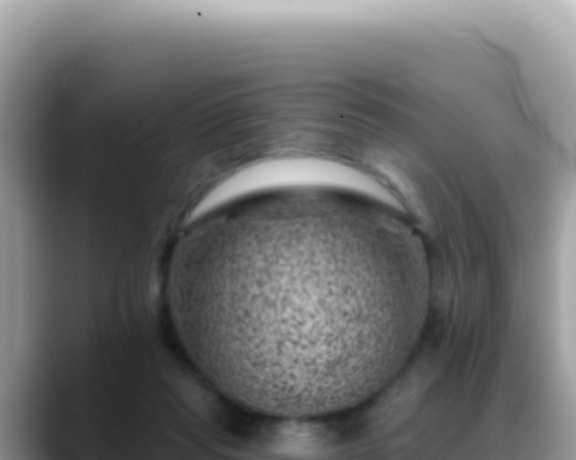 X0000088730261200706071646
