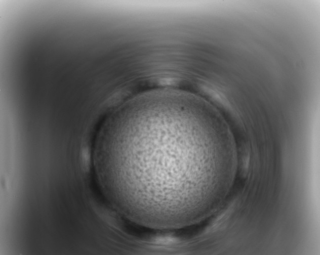 X0000088730262200706071646