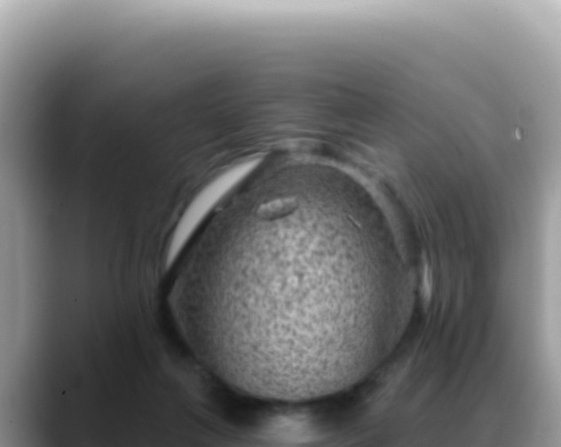 X0000088730263200706071646