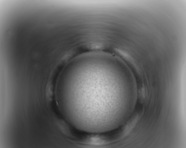 X0000088730264200706071646