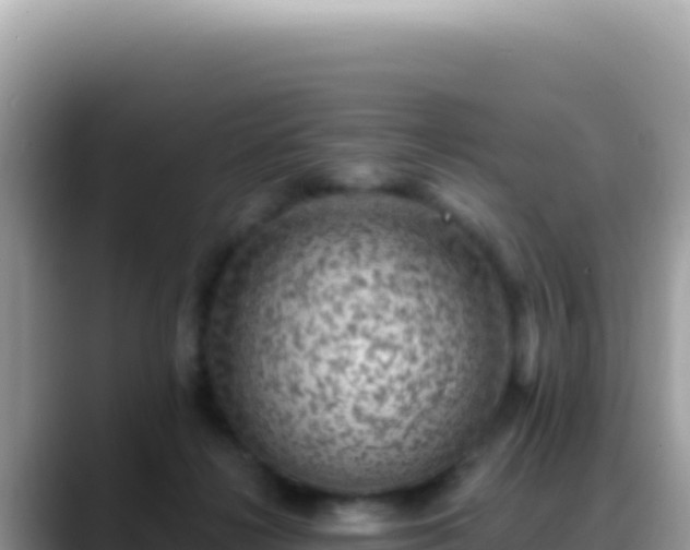 X0000088730268200706071646