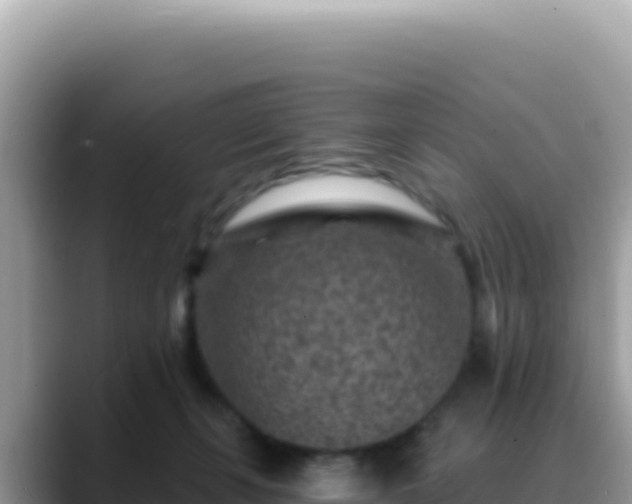 X0000088730271200706071646