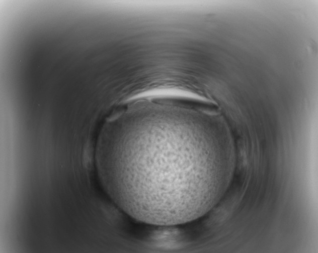 X0000088730274200706071646