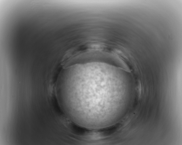 X0000088730276200706071646