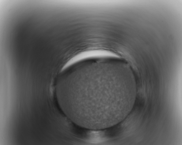 X0000088730277200706071646