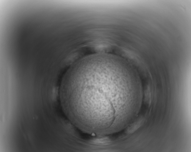 X0000088730278200706071646