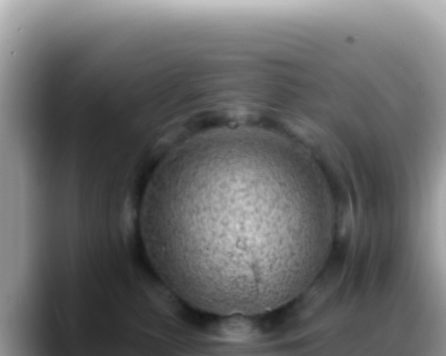 X0000088730279200706071646