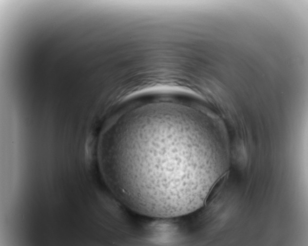X0000088730280200706071646