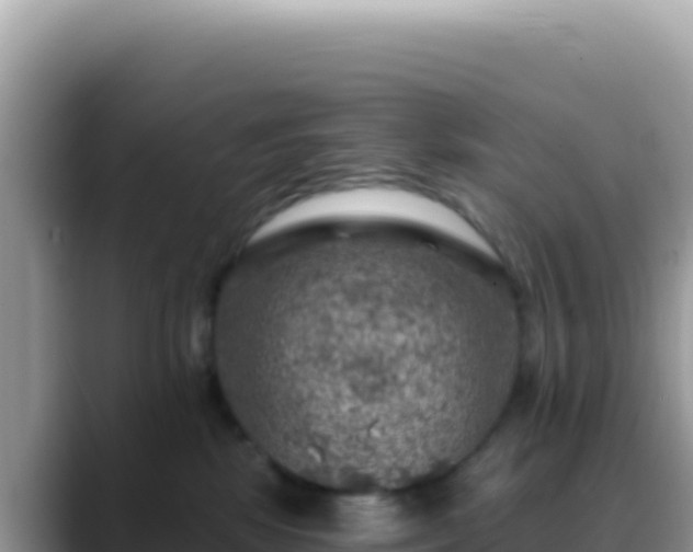 X0000088730281200706071646