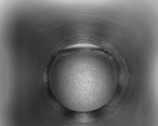 X0000088730282200706071646