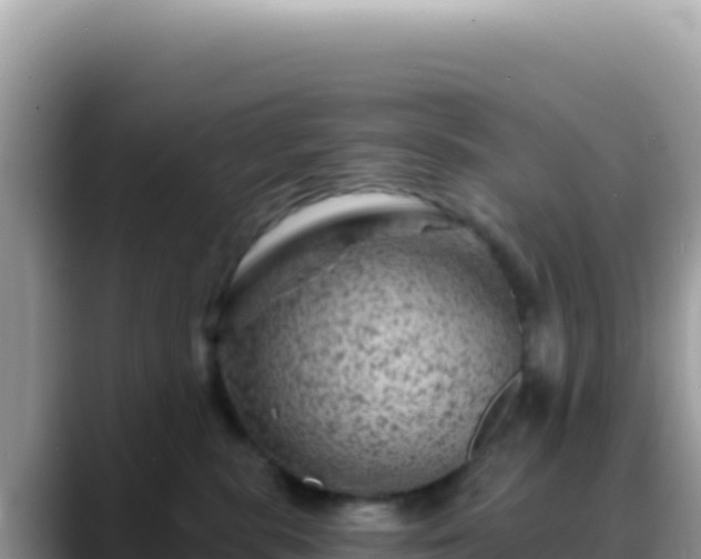 X0000088730283200706071646