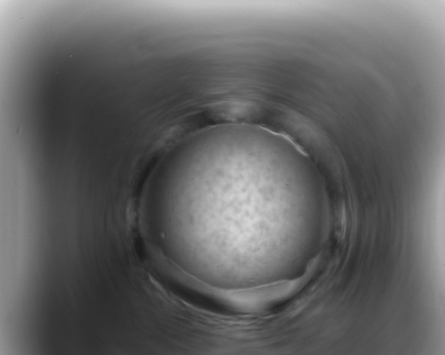 X0000088730284200706071646