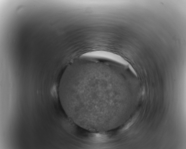 X0000088730286200706071646