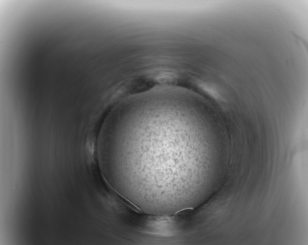 X0000088730288200706071646