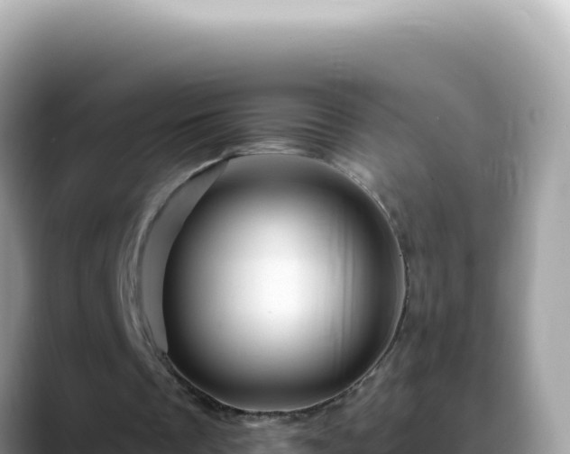 X0000088730289200706071645