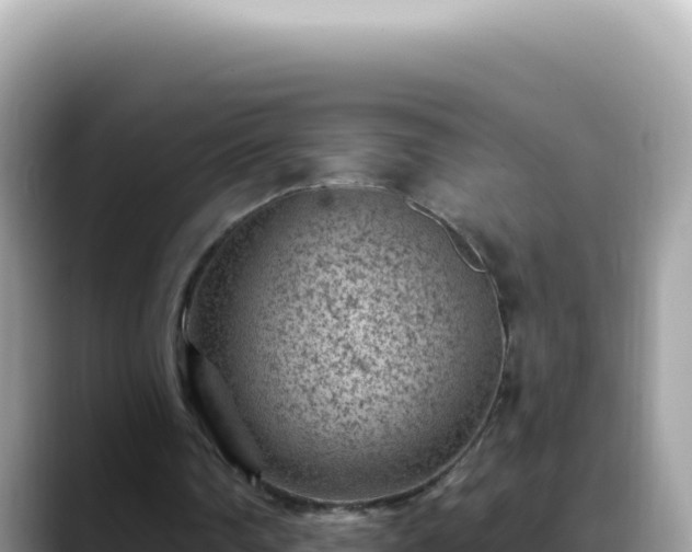 X0000088730290200706071645