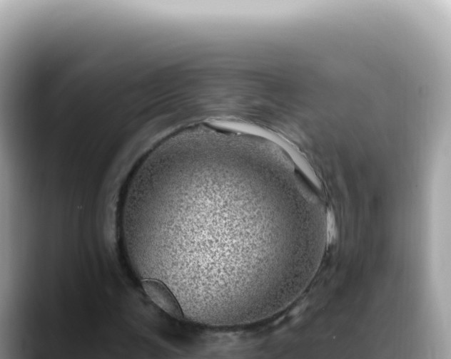 X0000088730291200706071645