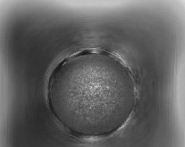 X0000088730293200706071645