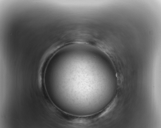 X0000088730294200706071645