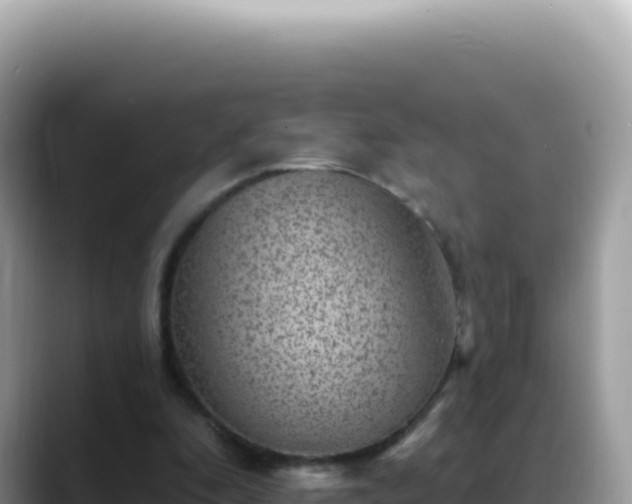 X0000088730296200706071645