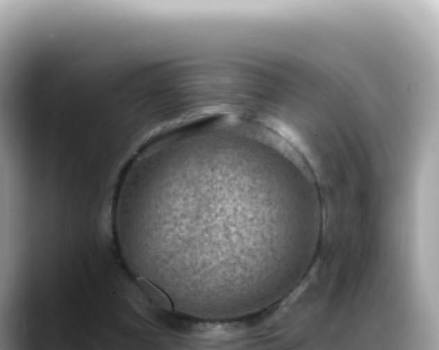 X0000088730297200706071645