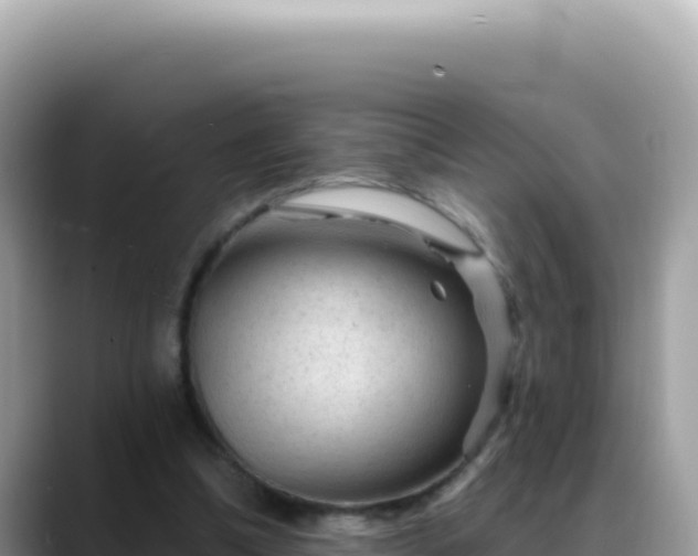 X0000088730298200706071645