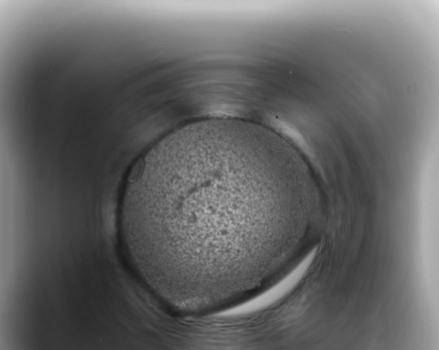 X0000088730299200706071645