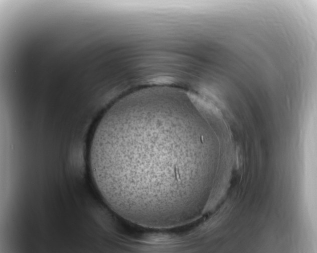 X0000088730300200706071645