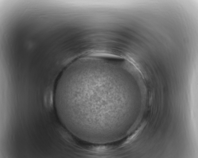 X0000088730301200706071645