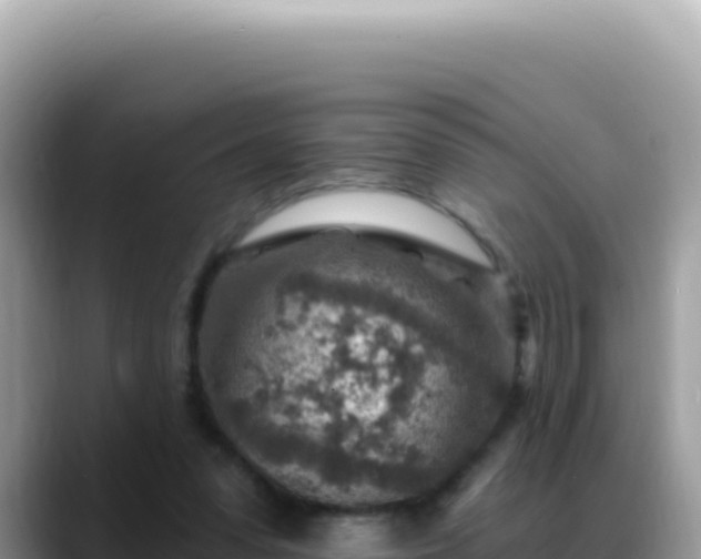 X0000088730303200706071645