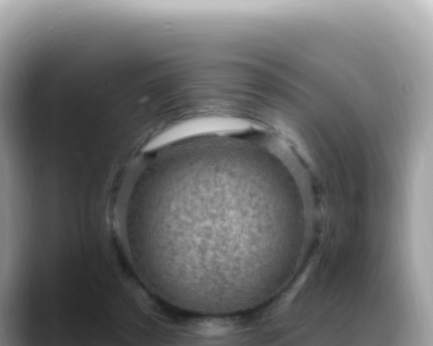 X0000088730305200706071645