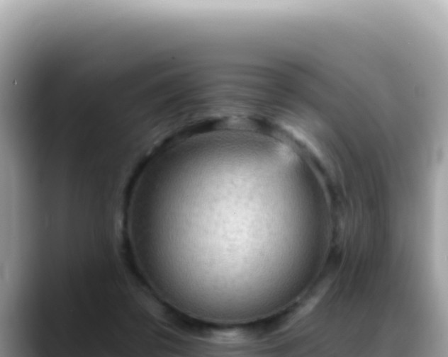 X0000088730309200706071645