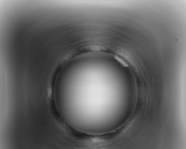 X0000088730310200706071645
