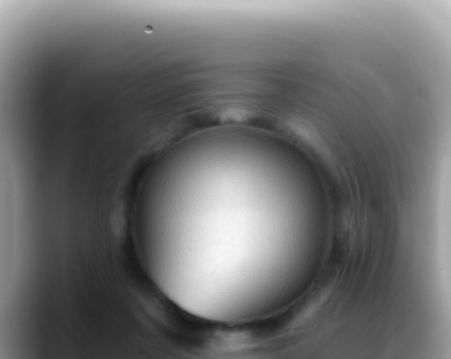 X0000088730311200706071645