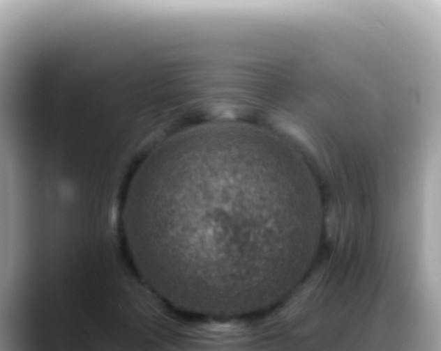 X0000088730314200706071645