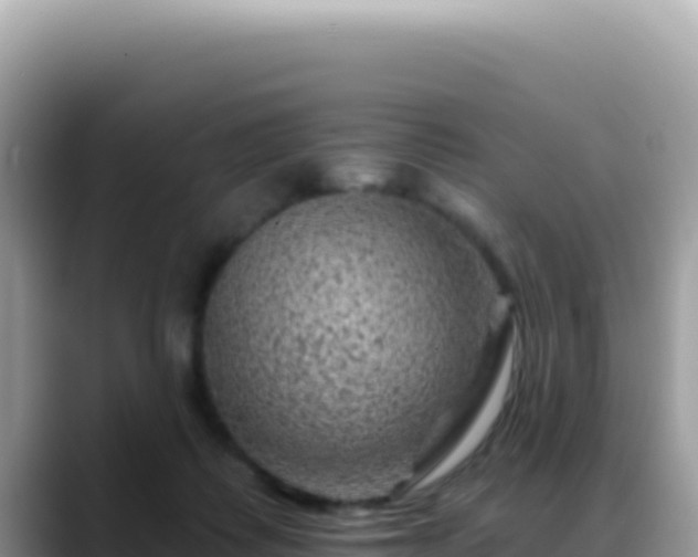 X0000088730315200706071645