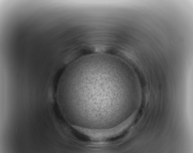 X0000088730316200706071645