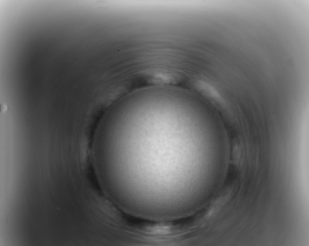 X0000088730318200706071645