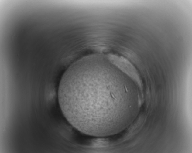 X0000088730320200706071645