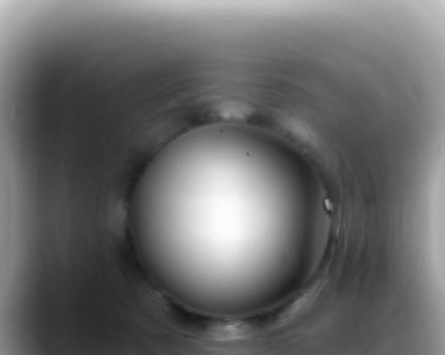 X0000088730321200706071645