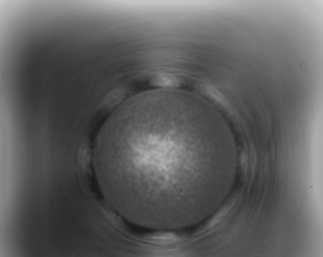 X0000088730322200706071645