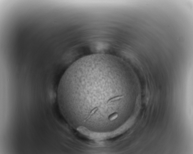 X0000088730324200706071645