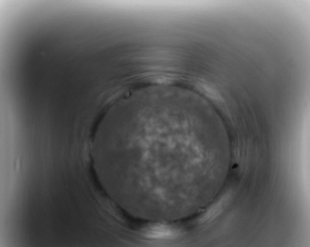 X0000088730325200706071645