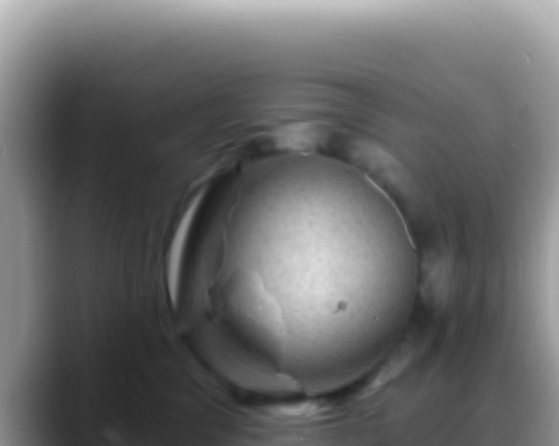 X0000088730329200706071645
