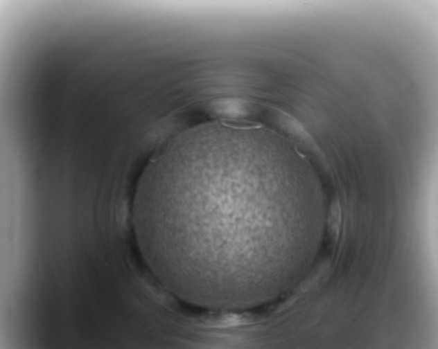 X0000088730330200706071645