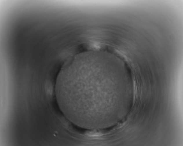 X0000088730331200706071645