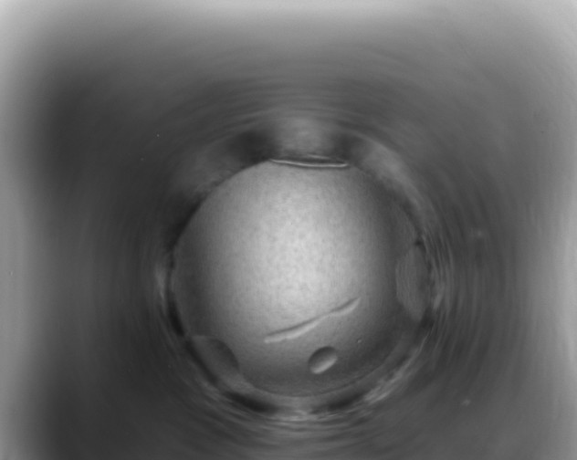 X0000088730333200706071645