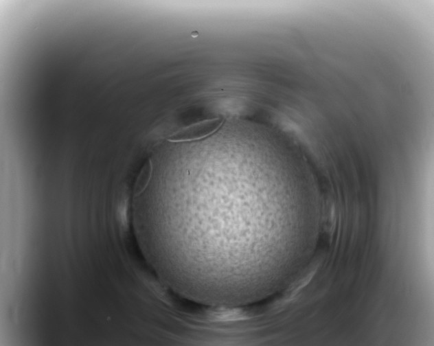 X0000088730334200706071645