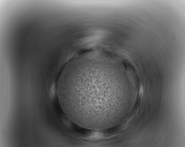 X0000088730335200706071645